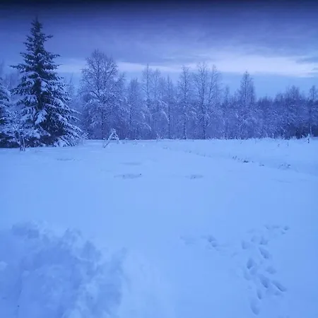 Lehtoranta A Touch Of Luxury On The Lakeside