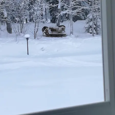 Lehtoranta A Touch Of Luxury On The Lakeside Rovaniemi