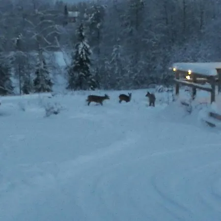 Villa Lehtoranta A Touch Of Luxury On The Lakeside Rovaniemi