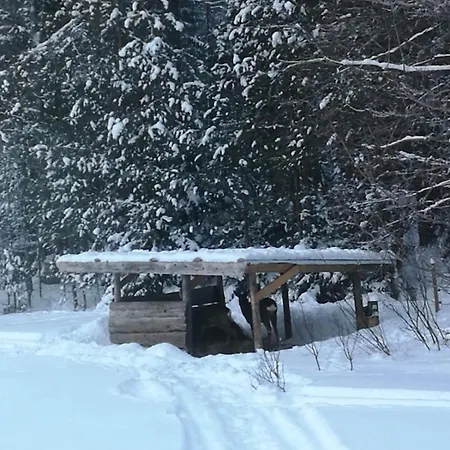 Lehtoranta A Touch Of Luxury On The Lakeside Villa *