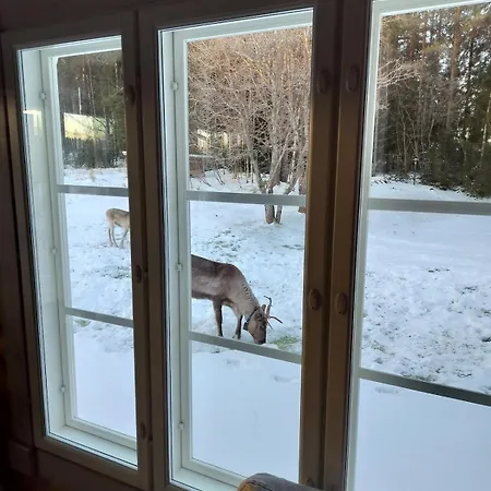 Villa Lehtoranta A Touch Of Luxury On The Lakeside Rovaniemi