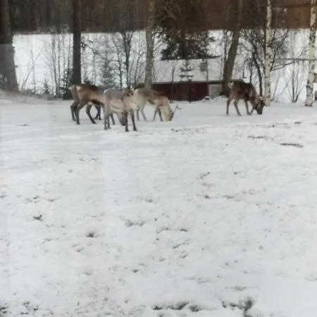 Lehtoranta A Touch Of Luxury On The Lakeside Villa *