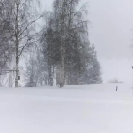 Lehtoranta A Touch Of Luxury On The Lakeside Villa *