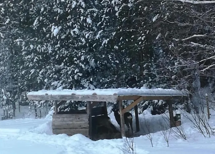 Lehtoranta A Touch Of Luxury On The Lakeside Villa *