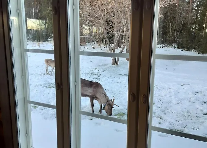 Villa Lehtoranta A Touch Of Luxury On The Lakeside Rovaniemi